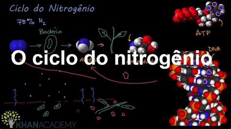 O Ciclo Do Nitrogênio Ecologia Biologia Khan Academy Youtube