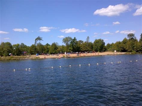 Beach Picture Of Balsam Lake Provincial Park Kirkfield Tripadvisor