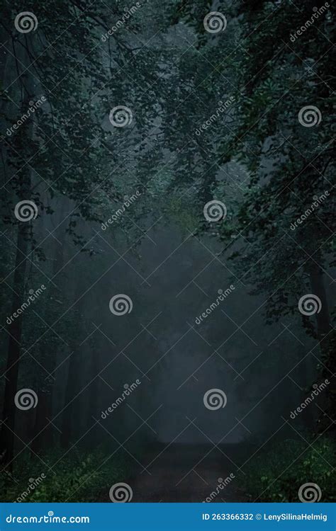 Deepr Dark Forest on a Rainy Day Stock Photo - Image of creepy, rain: 263366332