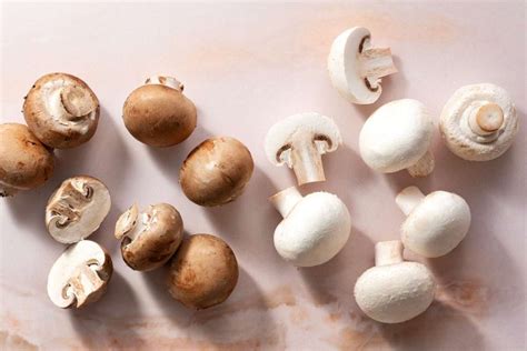 How To Grow Button Mushrooms Easy Cultivation Tips Musroom Corner