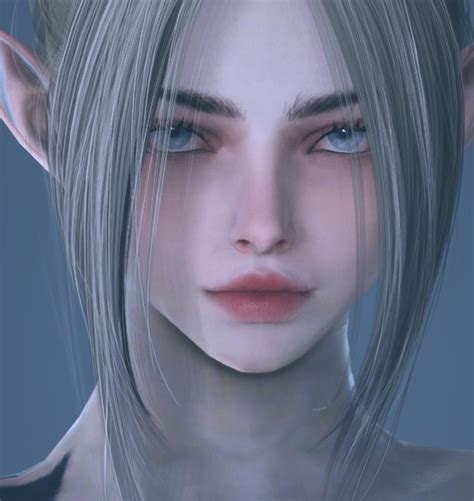 Dark Knight Dark Knight Beauty Album Garmoth Bdo Companion