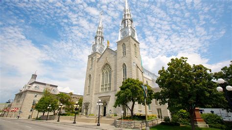 Notre-Dame Cathedral Basilica in Ottawa, Ontario | Expedia.ca