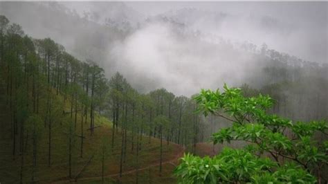 Uttarakhand Weather Update Yellow Alert For All Districts Heavy To