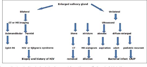 Figure 1 From Imaging Of Sialadenitis Semantic Scholar