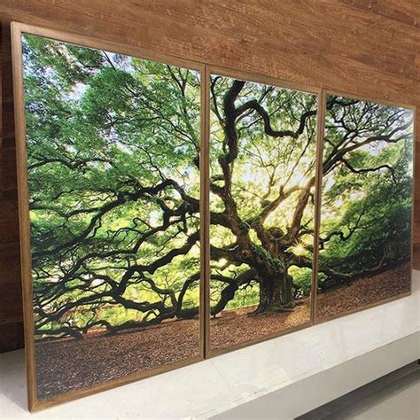 Conjunto 3 Quadros Árvore Natureza Paisagem Moderno Premium