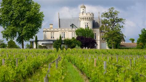 From San Sebastian Bordeaux Winery Private Guided Tour