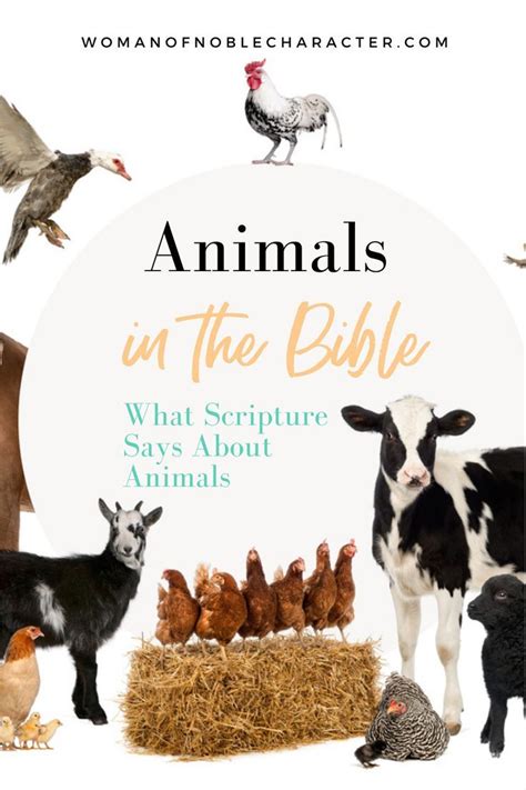 Animals In The Bible What Scripture Says About Animals Learn The