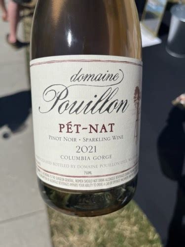 Domaine Pouillon P T Nat Pinot Noir Vivino Us