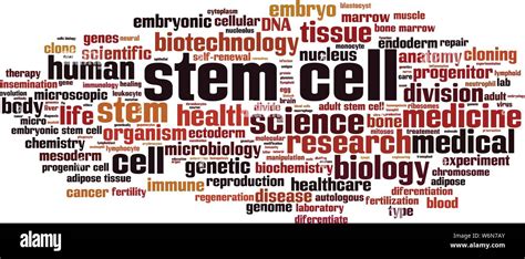 Stem Cell Word Cloud Concept Collage Made Of Words About Stem Cell