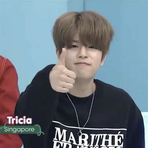 Pin By Yhwrlim On Idk Stray Kids Seungmin Kids Icon Kid Memes