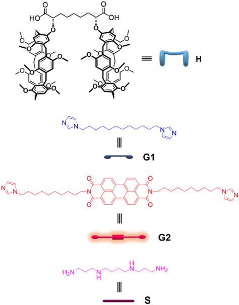 A Pillar 5 Arene Based Three Component Supramolecular Copolymer For The