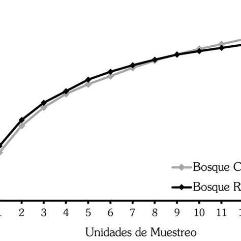 Curvas de acumulación de especies para bosques relictos negro y