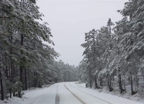 Tormenta De Nieve Provoca Cierre De Carreteras En Chihuahua