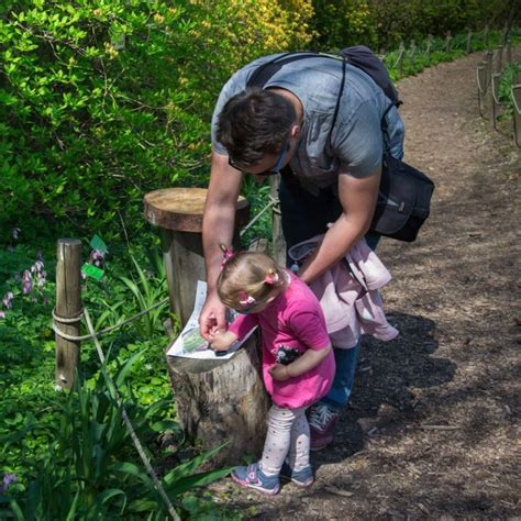 Archiwa Czy Warto Jecha Z Dzieckiem Do Arboretum Wojs Awice