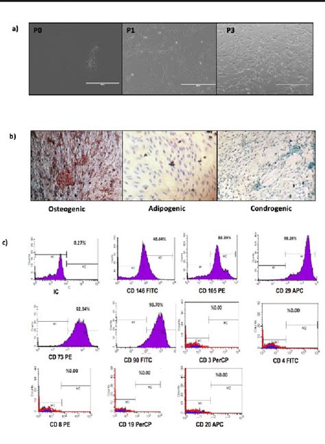 A C Morphological Appearance Characterization And Differentiation Of