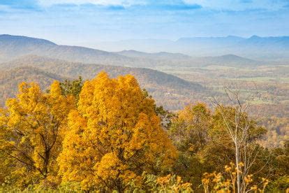 Shenandoah National Park Fall Foliage in Virginia 2025 - Rove.me