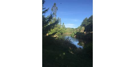 Pond At Jellie Park Discoverywallnz