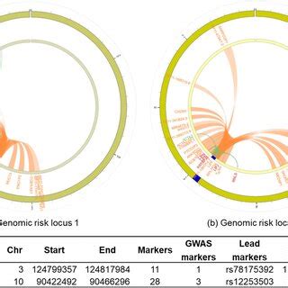 Circos Plots Of Chromatin Interactions And Eqtls Mapping For