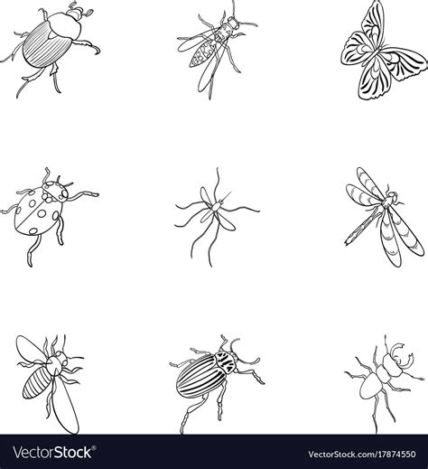 Beetle Wasp Bee Ant Fly Spider Mosquito Royalty Free Vector