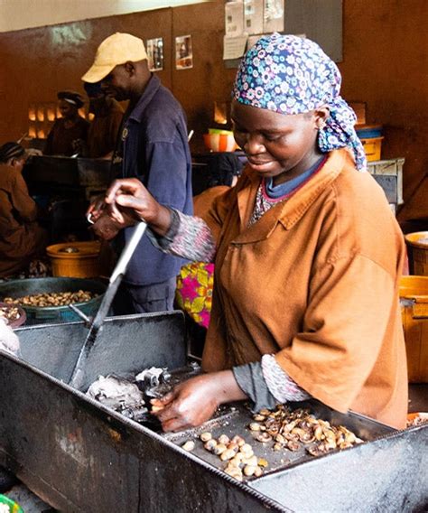 Cashew Mango Burkina Faso