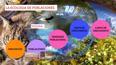 La Ecologia De Poblaciones By Camila Mu Oz On Prezi