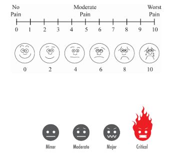 Principles Of MSK Examination Flashcards Quizlet