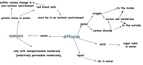 Concept Map Diffusion And Osmosis Osmosis Concept Map Biology Notes