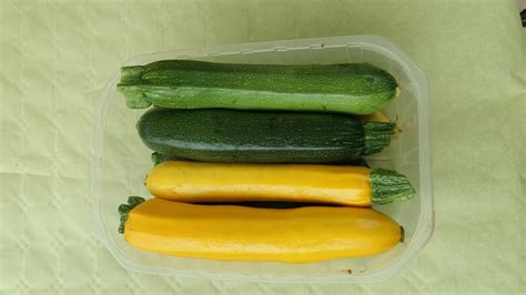 Courgettes Vertes Bio 2 Kg Florence Thiry Locavor Fr