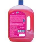 Buy Lizol Disinfectant Surface Cleaner Floral Ltr Online At Best