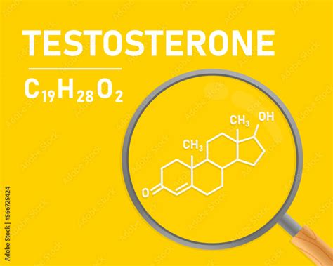 Testosterone Testosterone Molecule And Magnifying Glass The Concept