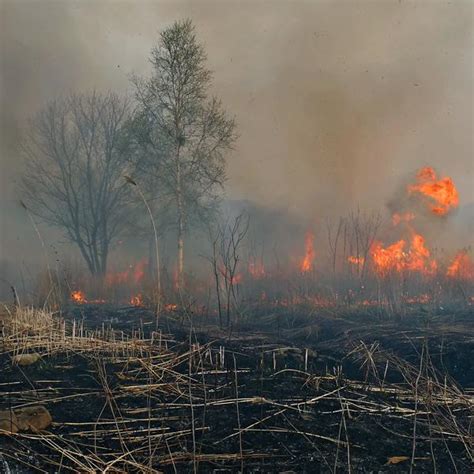 Qué significa incendio Actualizado octubre 2023