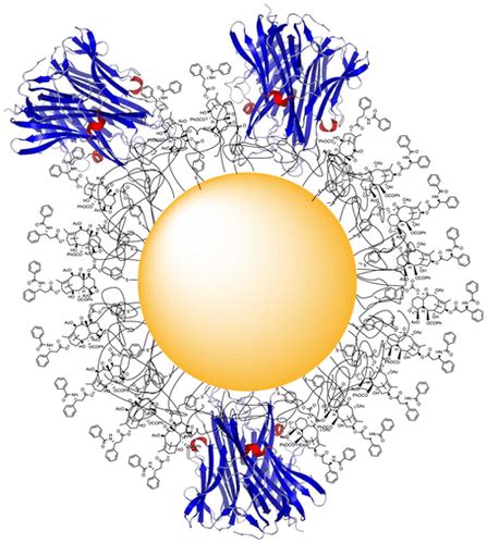 Bioconjugate Chemistry Vol 27 No 11