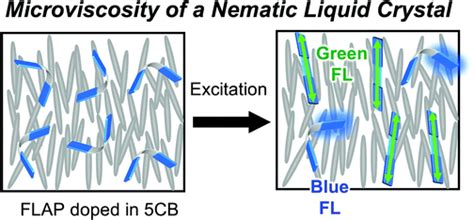 Probing A Microviscosity Change At The Nematicisotropic Liquid Crystal