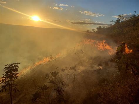 Incêndio consome 30 hectares de vegetação ao lado de condomínio no DF