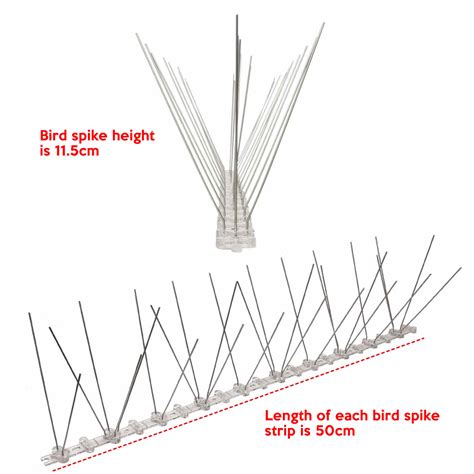 * Anti Bird Spikes - Non Lethal & Environmentally Friendly | Buy Online