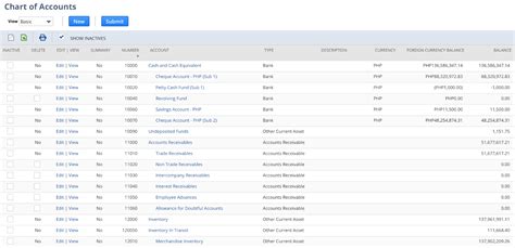 Netsuite Chart Of Accounts Best Practices And Guide Seller