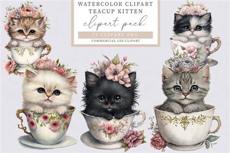 Teacup kitten clipart, kitten clipart, Cat clipart