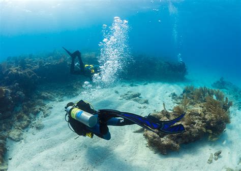 The Benefits Of Nitrox Scuba Diving International Official Blog