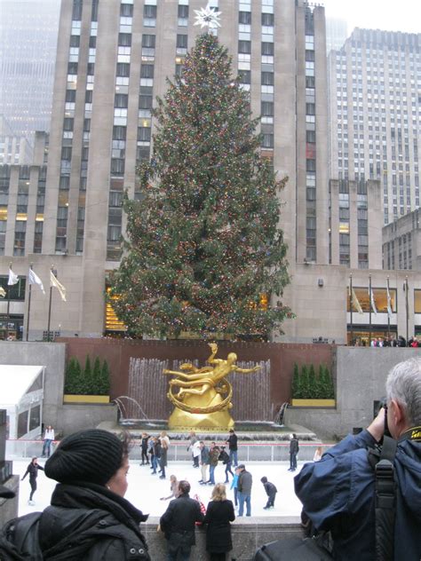 What Is The Biggest Christmas Tree In Nyc at Gabrielle Paul blog