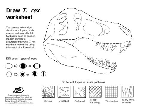 Dinosaurs Bones Draw Draw T Rex Worksheet Pdf Preschool Pinterest Worksheets