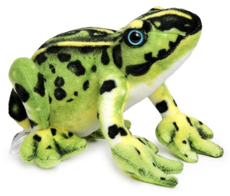 Frisco the Frog - Plush Toy | Shop Today. Get it Tomorrow! | takealot.com