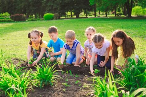 Las manos de los niños plantando árboles jóvenes en suelo negro juntos