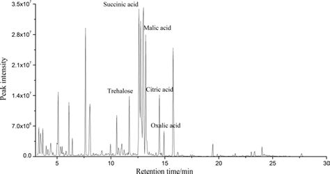 The Typical Total Ion Chromatograms Tics Of The Treatments By Gas Download Scientific Diagram