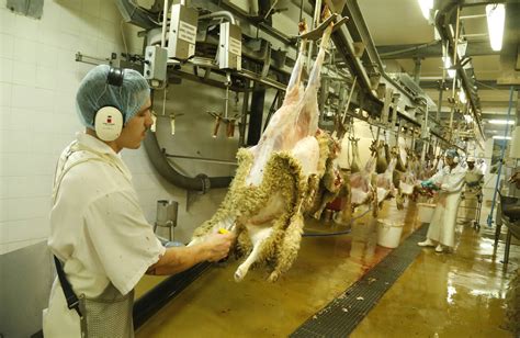 En Direct A Sisteron Un Abattoir Qui Progresse Et Qui A La Culture