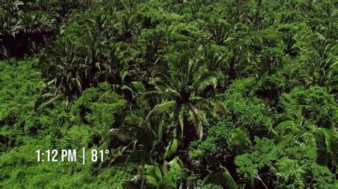 Naked And Afraid Season 11 Trakt