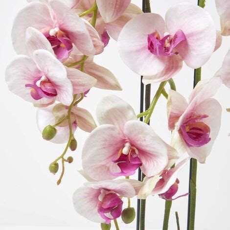 HOMESCAPES Künstliche pink weiße Phalaenopsis Orchidee im hellgrauen