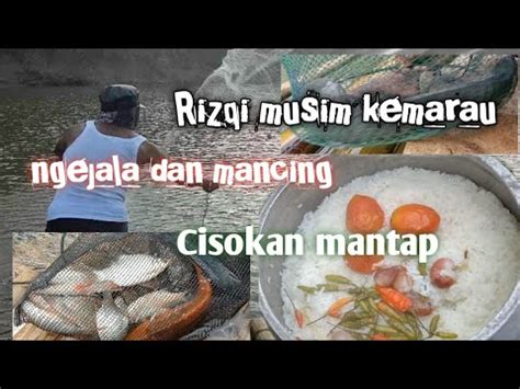 Mancing Dan Menjala Dapat Ikan Lele Dan Ikan Tagih Babon Cisokan Part