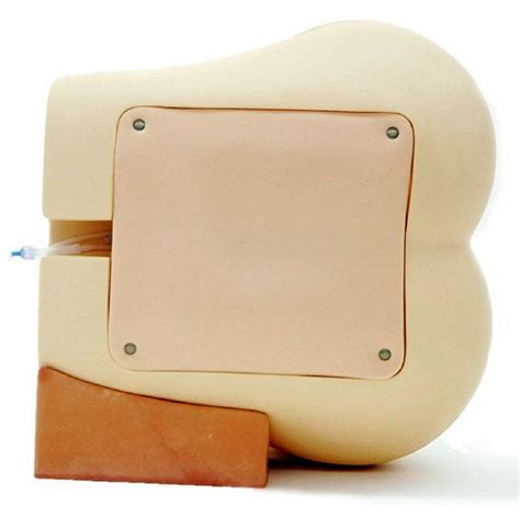 Ultrasound Compatible Lumbar Puncture Epidural Simulator Startseite