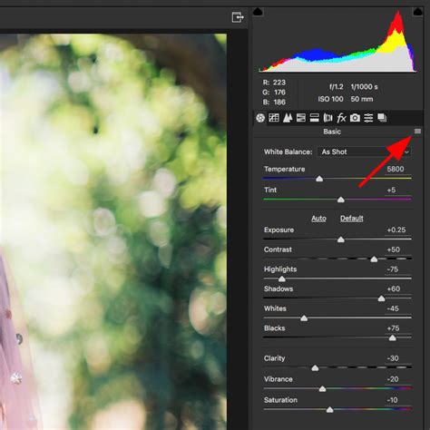 Guide To Adobe Camera Raw Presets 2022