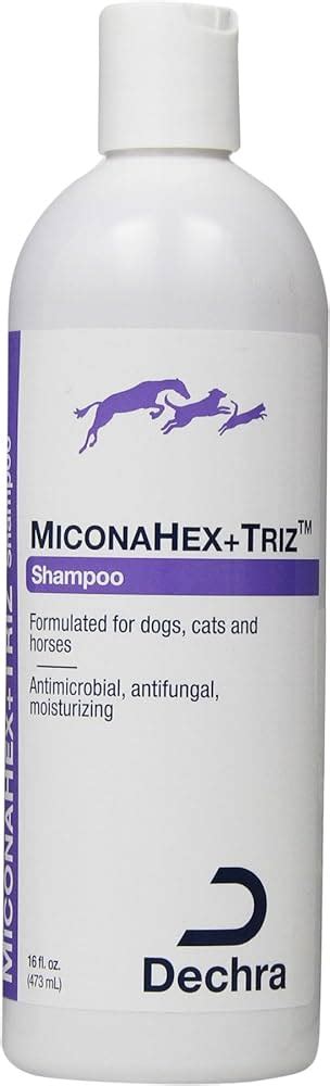 MiconaHex Plus TRIZ 50 Wipes, 53% OFF | clc.cet.edu